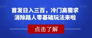 首发日入三百,冷门高需求消除路人零基础玩法来啦【揭秘】-优优云创网