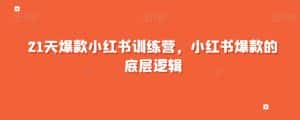 21天爆款小红书训练营,小红书爆款的底层逻辑-优优云创网