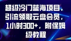 超级冷门蓝海项目，引流领取云盘会员，1小时300+，附保姆级教程-优优云创网