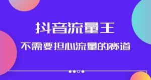 抖音流量王,不需要担心流量的赛道,美女图文音乐号升级玩法(附实操+养号流程)-优优云创网