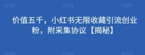 价值五千，小红书无限收藏引流创业粉，附采集协议【揭秘】-优优云创网