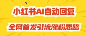 【原创开发】小红书AI自动回复，全网首发引流涨粉思路-优优云创网