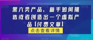 黑六类虚拟产品,新手如何挑选或者创造出一个虚拟产品【付费文章】-优优云创网