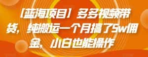 【蓝海项目】多多视频带货，纯搬运一个月搞了5w佣金，小白也能操作【揭秘】-优优云创网