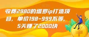 收费2980的塔罗ip打造项目，单价198-999不等，5天赚了2000块【揭秘】-优优云创网