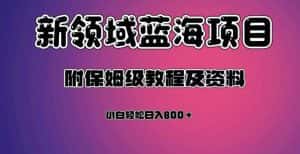 虚拟资源蓝海领域新项目,轻松日入800+,附保姆级教程及资料-优优云创网