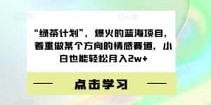 “绿茶计划”，爆火的蓝海项目，着重做某个方向的情感赛道，小白也能轻松月入2w+【揭秘】-优优云创网