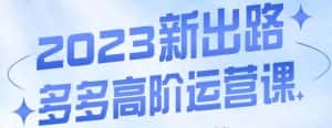 大炮·多多高阶运营课,3大玩法助力打造爆款,实操玩法直接亮出干货-优优云创网