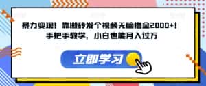 暴力变现!靠搬砖发个视频无脑撸金2000+!手把手教学,小白也能月入过万【揭秘】-优优云创网