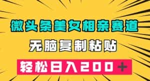 微头条冷门美女相亲赛道,无脑复制粘贴,轻松日入200+【揭秘】-优优云创网