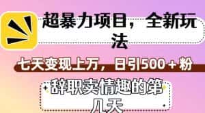 超暴利项目,全新玩法(辞职卖情趣的第几天),七天变现上万,日引500+粉【揭秘】-优优云创网
