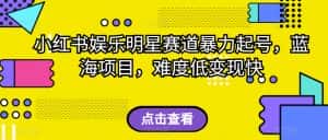 小红书娱乐明星赛道暴力起号,蓝海项目,难度低变现快【揭秘】-优优云创网