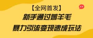 【全网首发】新手通过薅羊毛暴力引流变现速成玩法-优优云创网