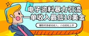 电子资料暴力引流,一单最低10美金,赚取终身被动收入,保姆级教程【揭秘】-优优云创网