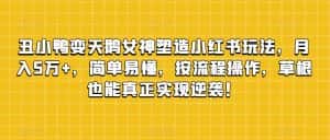 丑小鸭变天鹅女神塑造小红书玩法,月入5万+,简单易懂,按流程操作,草根也能真正实现逆袭!-优优云创网