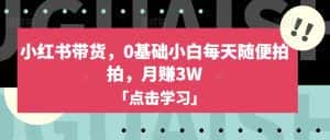 小红书带货,0基础小白每天随便拍拍,月赚3W【揭秘】-优优云创网
