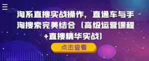 淘系直搜实战操作,直通车与手淘搜索完美结合(高级运营课程+直搜精华实战)-优优云创网