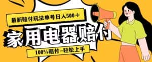 最新赔付玩法，家用电器赔付，100%赔付，目前蓝海号称单号日入500+【仅揭秘】-优优云创网
