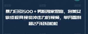 暴力日引500＋男粉独家思路，将美女做成极具视觉冲击力的视频，单月盈利超2万轻轻松松-优优云创网
