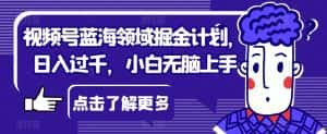 视频号蓝海领域掘金计划，日入过千，小白无脑上手【揭秘】-优优云创网