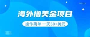 撸美金项目无门槛操作简单小白一天50+美刀-优优云创网