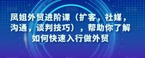 凤姐外贸进阶课(扩客,社媒,沟通,谈判技巧),帮助你了解如何快速入行做外贸-优优云创网