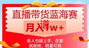 直播带货蓝海赛道,新人也能上手,在家就能做,销量可观,月入1w【揭秘】-优优云创网