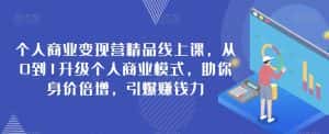个人商业变现营精品线上课,从0到1升级个人商业模式,助你身价倍增,引爆赚钱力-优优云创网