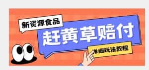 新资源食品赶黄草标签瑕疵打假赔付思路,光速下车,一单利润千+【详细玩法教程】【揭秘】-优优云创网