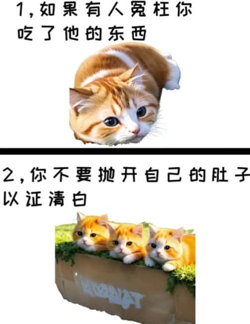 图片[1]-治愈系萌猫加+黑鸡汤文案，小红书商单玩法，3~10天涨到1000粉，一单200左右-优优云创网
