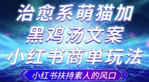 治愈系萌猫加+黑鸡汤文案，小红书商单玩法，3~10天涨到1000粉，一单200左右-优优云创网