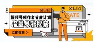 一条视频收益3000+，一条作品涨粉2000+，视频号流量爆炸·的秘籍-优优云创网