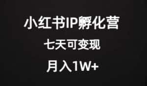 价值2000+的小红书IP孵化营项目,超级大蓝海,七天即可开始变现,稳定月入1W+-优优云创网