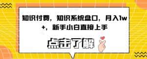5分钟一个原创作品，小红书最新冷门玩法，简单粗暴，轻松月入1W＋【揭秘】-优优云创网