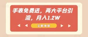 手表免费送，两大平台引流，月入1.2W【揭秘】-优优云创网