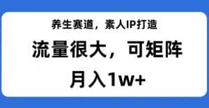 养生赛道,素人IP打造,流量很大,可矩阵,月入1w+【揭秘】-优优云创网