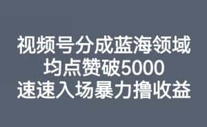 视频号分成蓝海领域,均点赞破5000,速速入场暴力撸收益-优优云创网