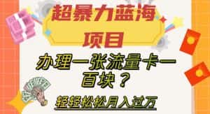 超暴力蓝海项目,办理一张流量卡一百块?轻轻松松月入过万,保姆级教程【揭秘】-优优云创网