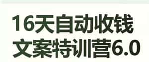 16天自动收钱文案特训营6.0,学会儿每天自动咔咔收钱-优优云创网