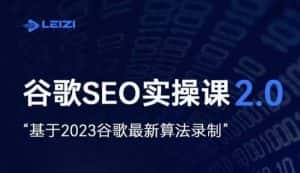 雷子·谷歌SEO 2.0实战课,独立站询盘自由必备,基于2023谷歌最新算法录制-优优云创网