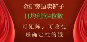 金矿旁边卖铲子,赚确定性的钱,可矩阵,可收徒,日均利润4位数【揭秘】-优优云创网