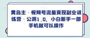 黄岛主·视频号流量变现副业训练营·公测1.0,小白新手一部手机就可以操作-优优云创网