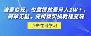 流量变现,仅靠播放量月入1W+,简单无脑,保姆级实操教程【揭秘】-优优云创网