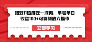 蹭双11热度吃一波肉,单号单日收益100+可复制放大操作【揭秘】-优优云创网
