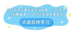 小红书开店卖货实战训练营,小红书入门到精通课,7天时间实现快速变现-优优云创网