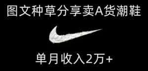 靠图文种草分享卖A货潮鞋,每天一小时,单月收入2万+【揭秘】-优优云创网