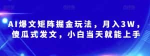 AI爆文矩阵掘金玩法,月入3W,傻瓜式发文,小白当天就能上手【揭秘】-优优云创网