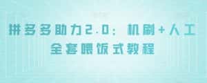 拼多多助力2.0：机刷+人工全套喂饭式教程【揭秘】-优优云创网