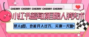 小红书蓝海项目路人消失术，帮人p图，也能月入过万，实测一天300+【揭秘】-优优云创网