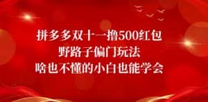首发价值2980最新淘宝无货源不开车自然流超低成本截流玩法日入300+【揭秘】【1111更新】-优优云创网